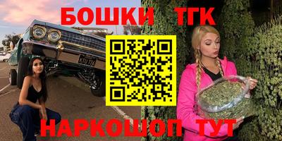 индика Азнакаево