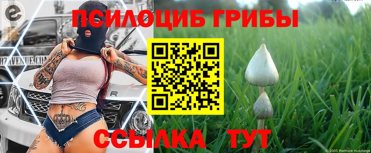 купить наркоту  Вход с VPN  Анжеро-Судженск  Галлюциногенные грибы прущие грибы 